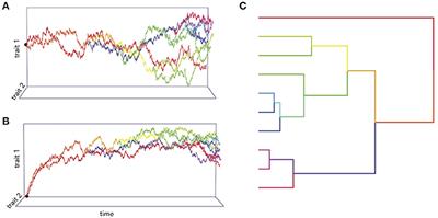 Inferring Evolutionary Process From Neuroanatomical Data